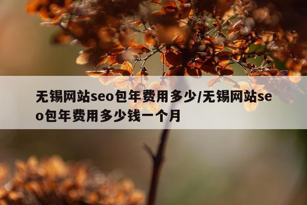 无锡网站seo包年费用多少/无锡网站seo包年费用多少钱一个月
