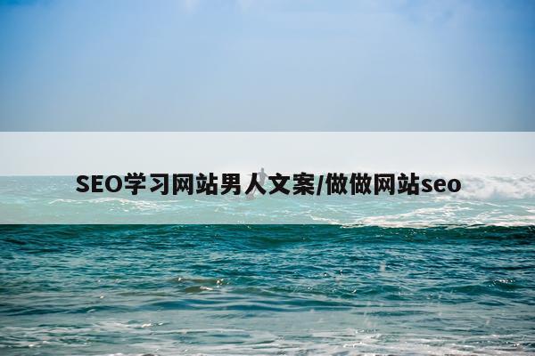 SEO学习网站男人文案/做做网站seo