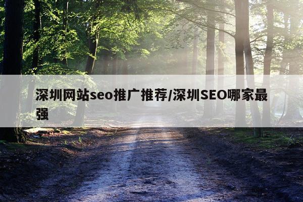 深圳网站seo推广推荐/深圳SEO哪家最强
