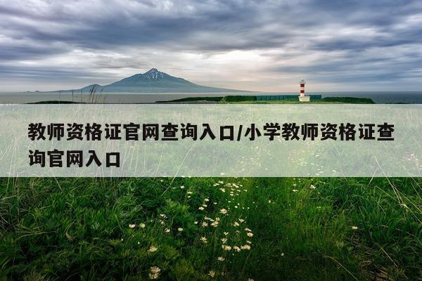 教师资格证官网查询入口/小学教师资格证查询官网入口