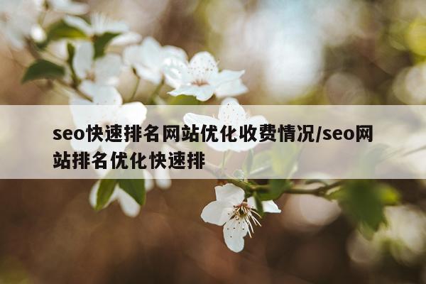 seo快速排名网站优化收费情况/seo网站排名优化快速排