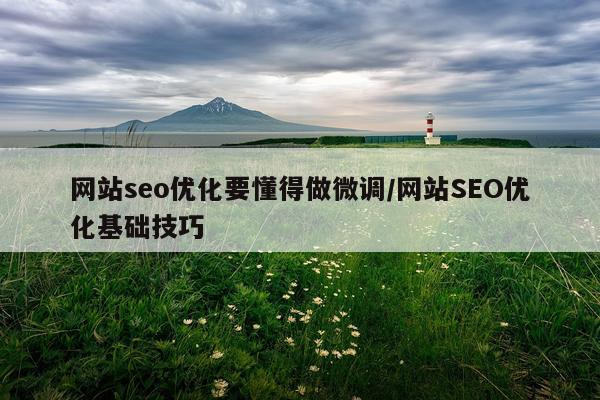 网站seo优化要懂得做微调/网站SEO优化基础技巧