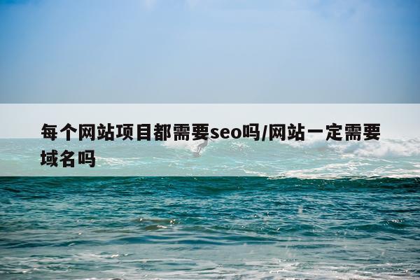 每个网站项目都需要seo吗/网站一定需要域名吗