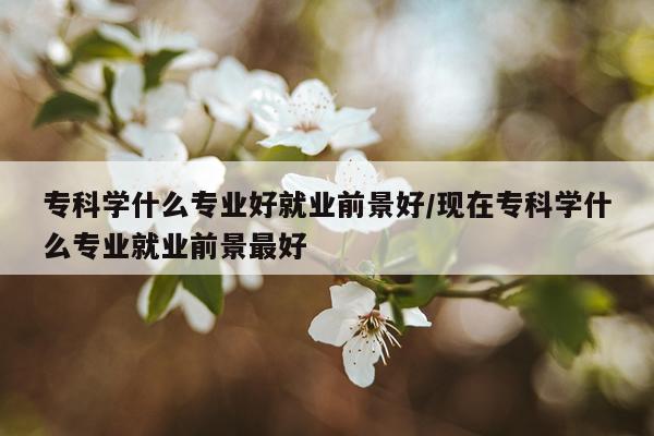 专科学什么专业好就业前景好/现在专科学什么专业就业前景最好