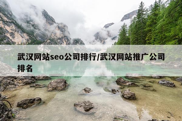 武汉网站seo公司排行/武汉网站推广公司排名