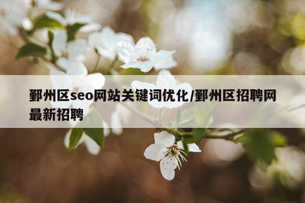 鄞州区seo网站关键词优化/鄞州区招聘网最新招聘
