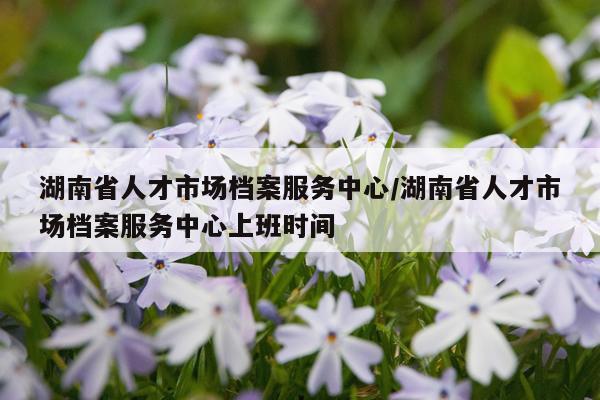 湖南省人才市场档案服务中心/湖南省人才市场档案服务中心上班时间