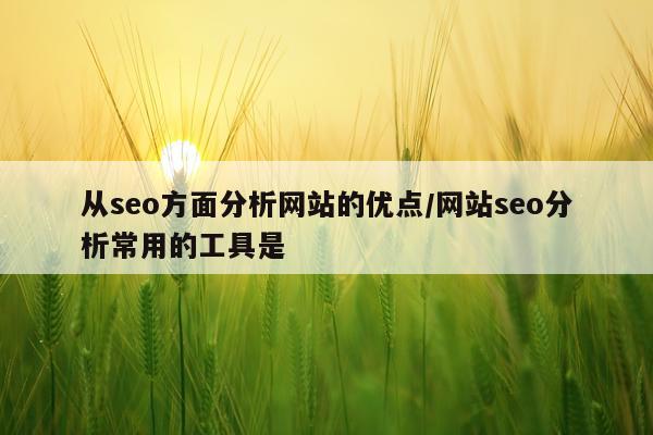 从seo方面分析网站的优点/网站seo分析常用的工具是