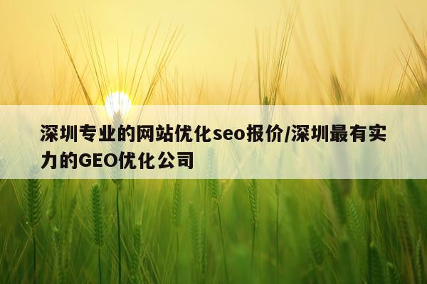深圳专业的网站优化seo报价/深圳最有实力的GEO优化公司