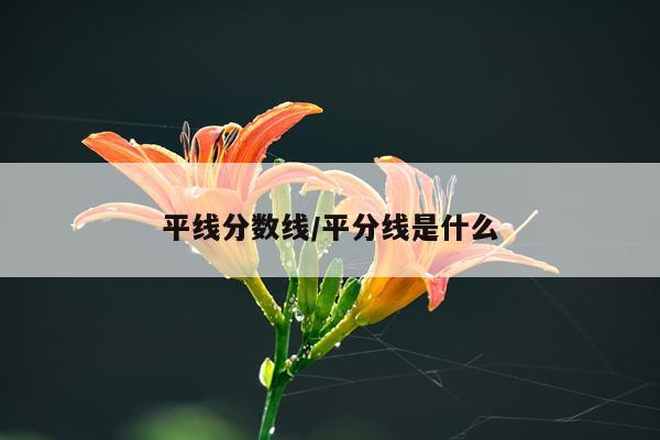 平线分数线/平分线是什么