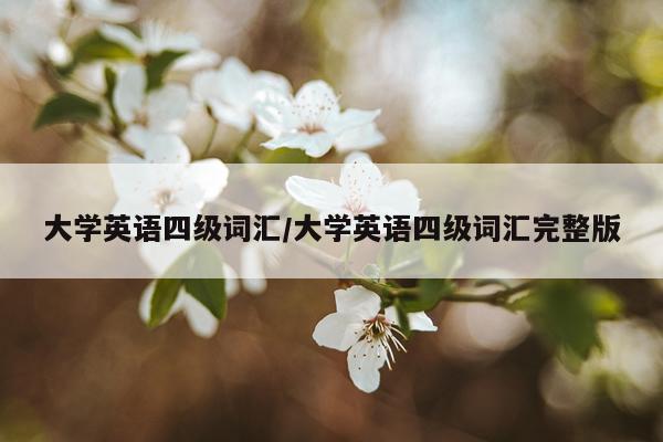 大学英语四级词汇/大学英语四级词汇完整版
