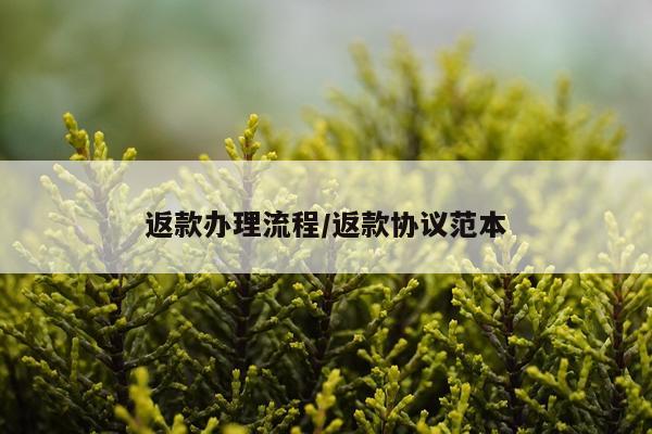 返款办理流程/返款协议范本