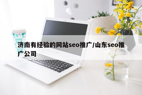 济南有经验的网站seo推广/山东seo推广公司