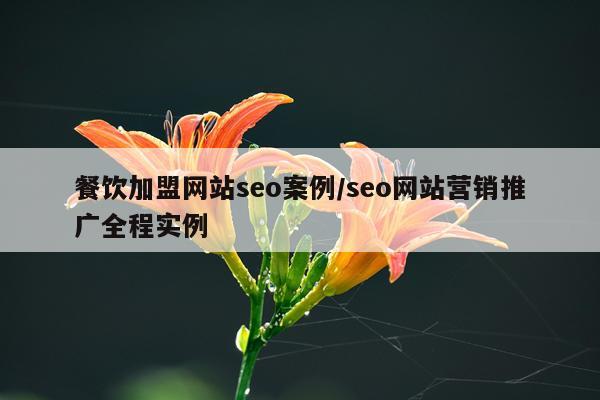 餐饮加盟网站seo案例/seo网站营销推广全程实例