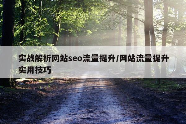 实战解析网站seo流量提升/网站流量提升实用技巧