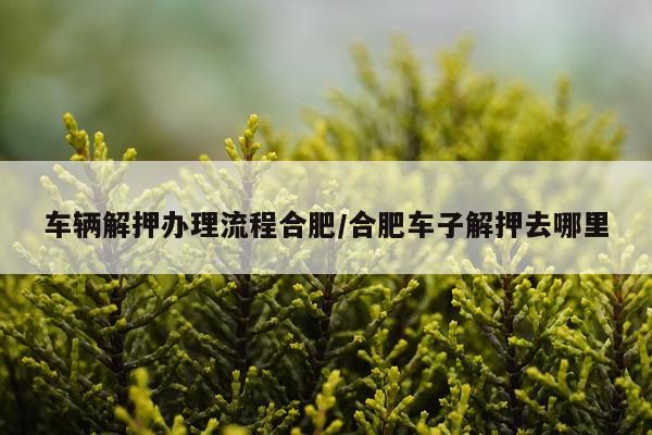 车辆解押办理流程合肥/合肥车子解押去哪里