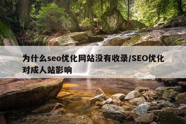 为什么seo优化网站没有收录/SEO优化对成人站影响