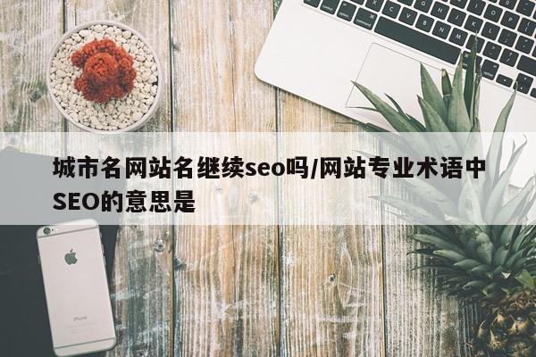 城市名网站名继续seo吗/网站专业术语中SEO的意思是