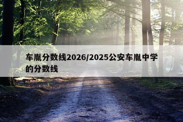 车胤分数线2026/2025公安车胤中学的分数线