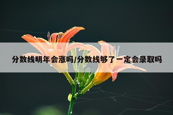 分数线明年会涨吗/分数线够了一定会录取吗
