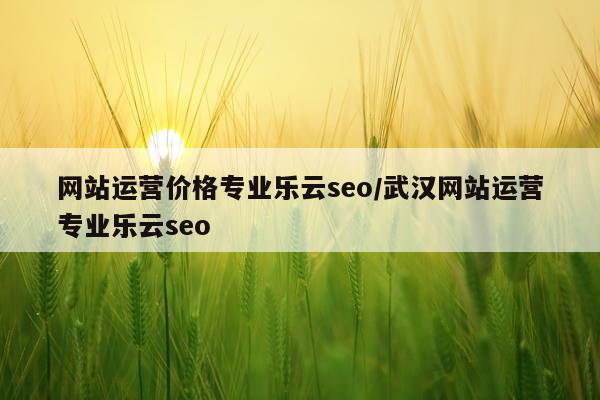 网站运营价格专业乐云seo/武汉网站运营专业乐云seo