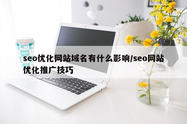 seo优化网站域名有什么影响/seo网站优化推广技巧