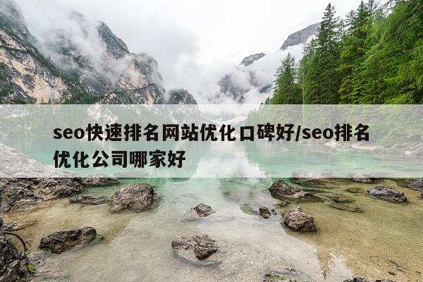 seo快速排名网站优化口碑好/seo排名优化公司哪家好
