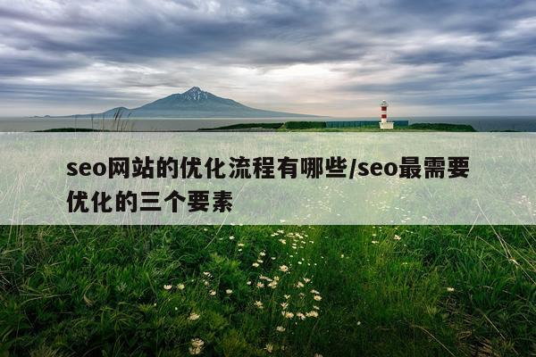 seo网站的优化流程有哪些/seo最需要优化的三个要素