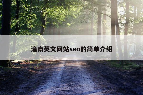 潼南英文网站seo的简单介绍
