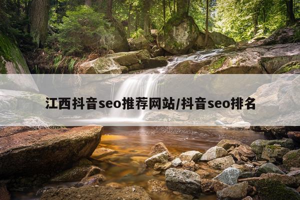 江西抖音seo推荐网站/抖音seo排名
