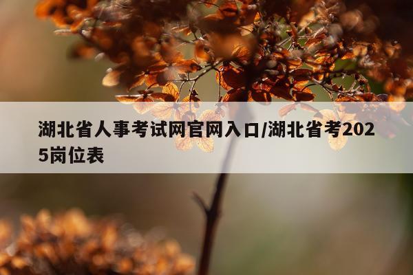 湖北省人事考试网官网入口/湖北省考2025岗位表