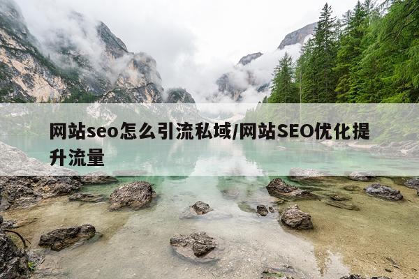 网站seo怎么引流私域/网站SEO优化提升流量