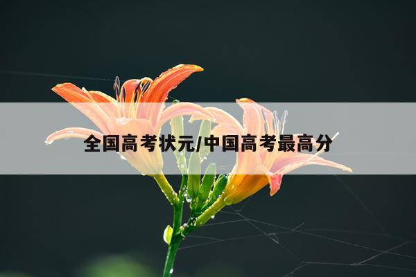 全国高考状元/中国高考最高分