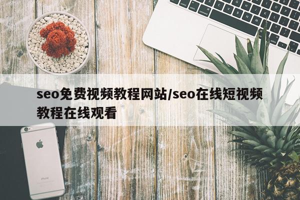 seo免费视频教程网站/seo在线短视频教程在线观看