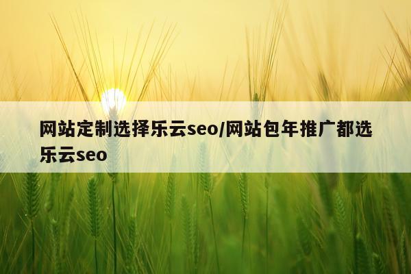网站定制选择乐云seo/网站包年推广都选乐云seo