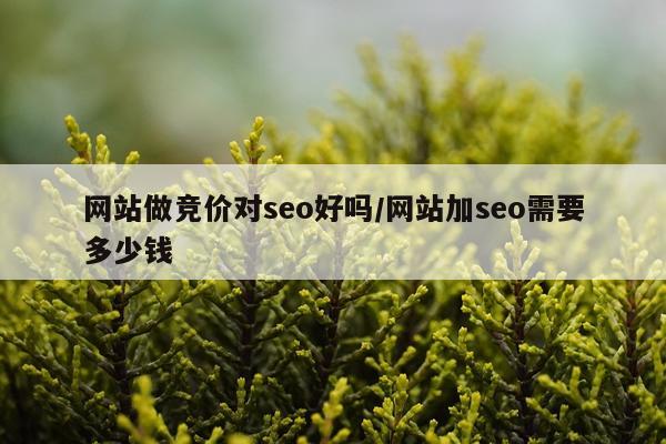网站做竞价对seo好吗/网站加seo需要多少钱