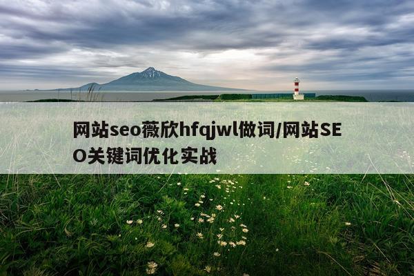 网站seo薇欣hfqjwl做词/网站SEO关键词优化实战