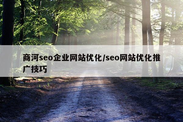 商河seo企业网站优化/seo网站优化推广技巧