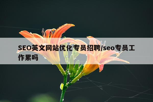 SEO英文网站优化专员招聘/seo专员工作累吗