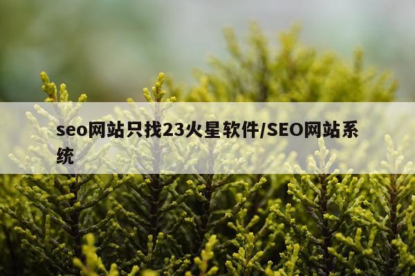 seo网站只找23火星软件/SEO网站系统