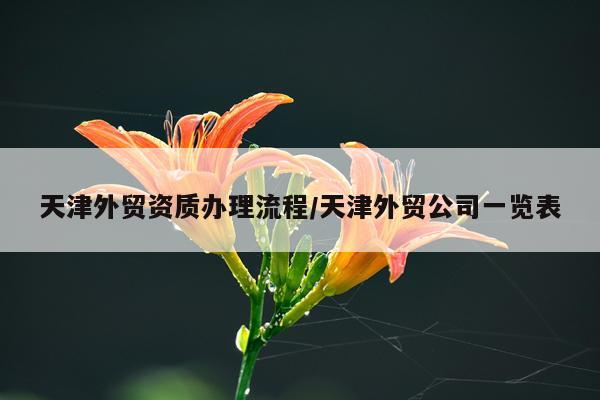 天津外贸资质办理流程/天津外贸公司一览表