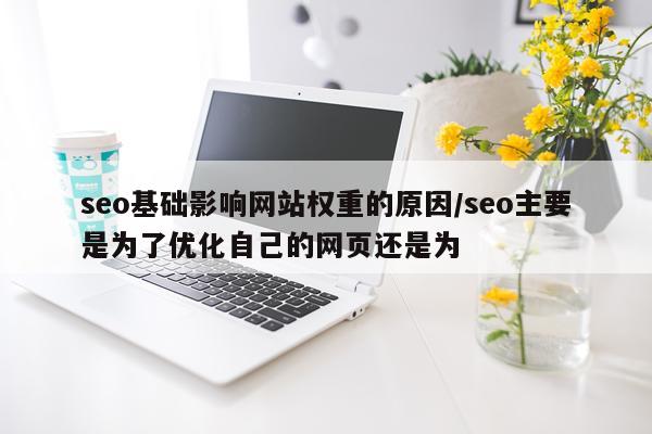 seo基础影响网站权重的原因/seo主要是为了优化自己的网页还是为