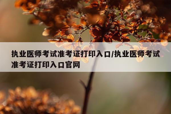 执业医师考试准考证打印入口/执业医师考试准考证打印入口官网
