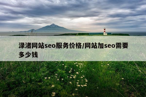 渌渚网站seo服务价格/网站加seo需要多少钱