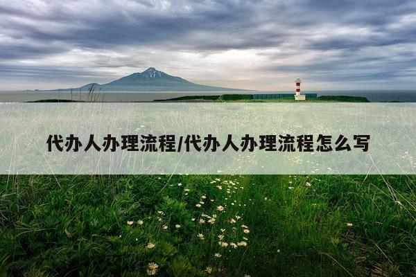 代办人办理流程/代办人办理流程怎么写