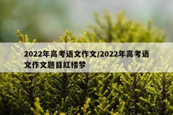 2022年高考语文作文/2022年高考语文作文题目红楼梦