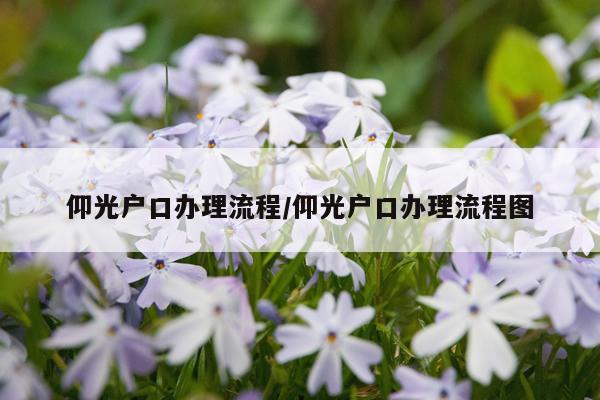 仰光户口办理流程/仰光户口办理流程图