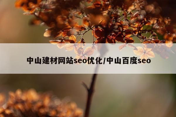 中山建材网站seo优化/中山百度seo
