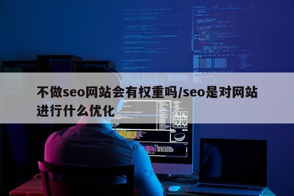 不做seo网站会有权重吗/seo是对网站进行什么优化