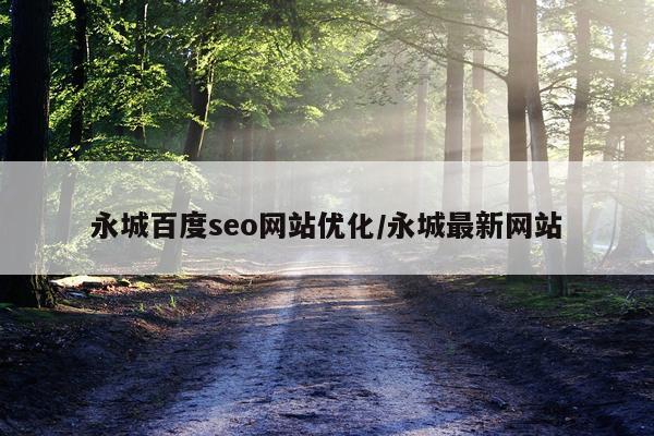 永城百度seo网站优化/永城最新网站